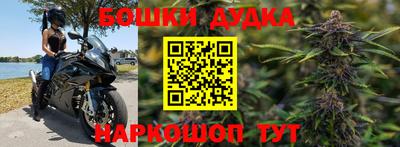 дурь Шелехов