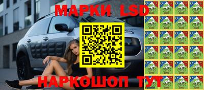 дурь Шелехов