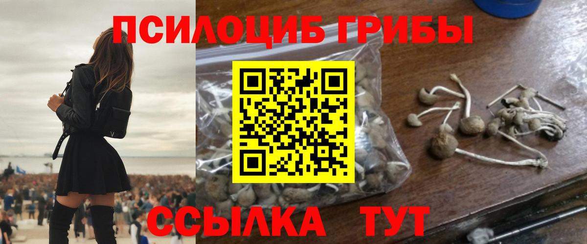 Галлюциногенные грибы мухоморы Борзя